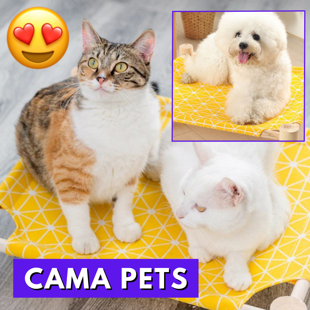 Cama Elevada para Mascotas Pequeñas