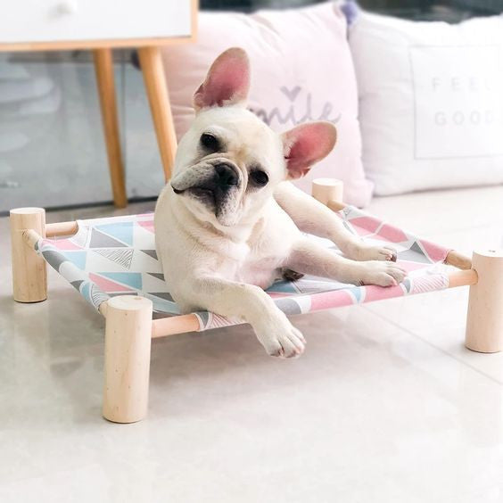 Cama Elevada para Mascotas Pequeñas