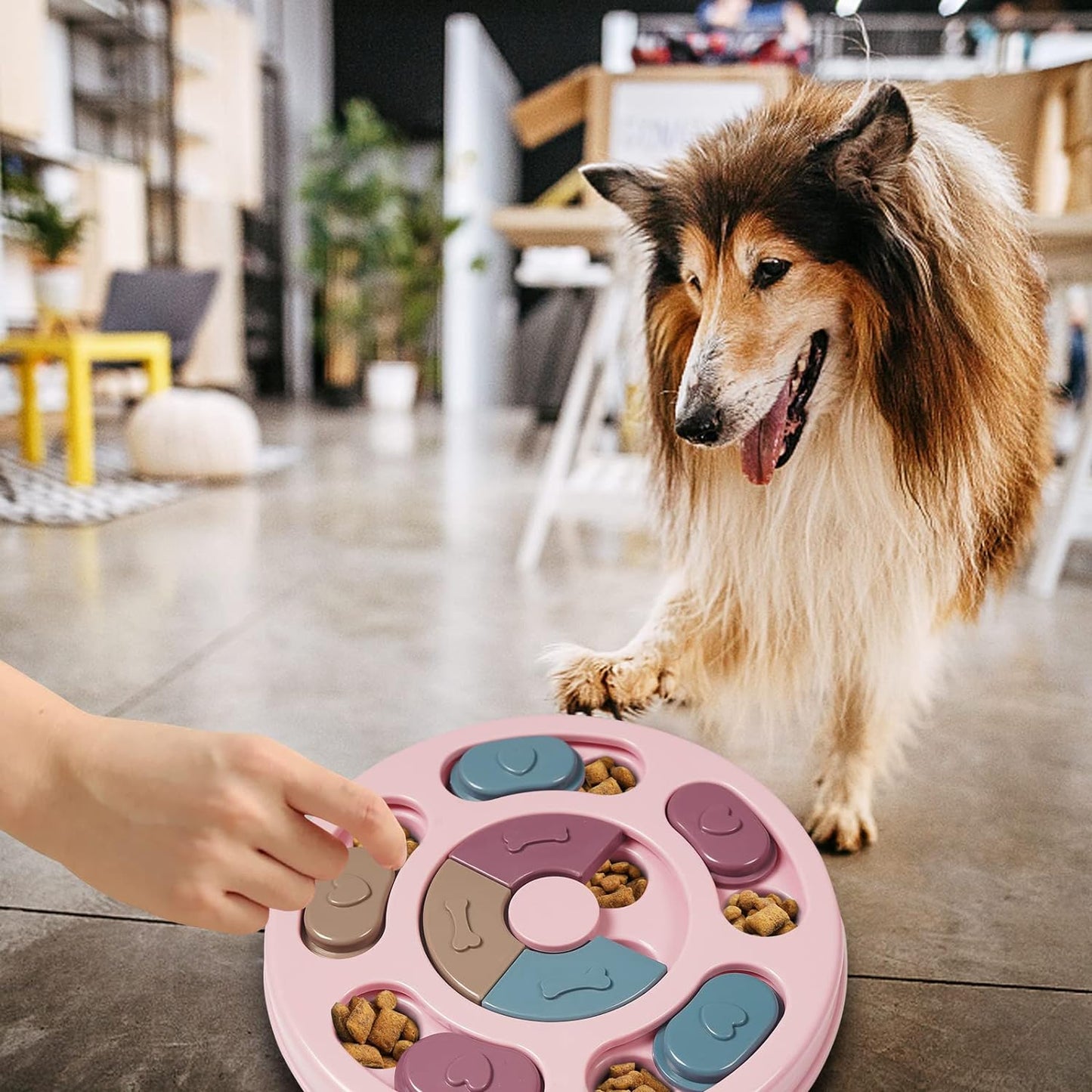 Alimentador de Rompecabezas para Mascotas