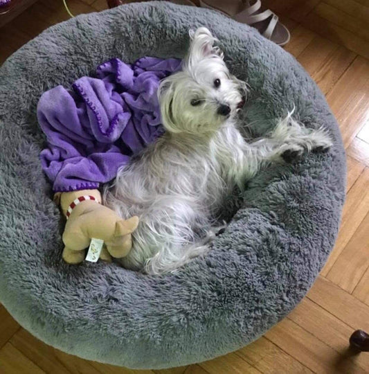 Cama Donut Antiestrés para Mascotas Talla M