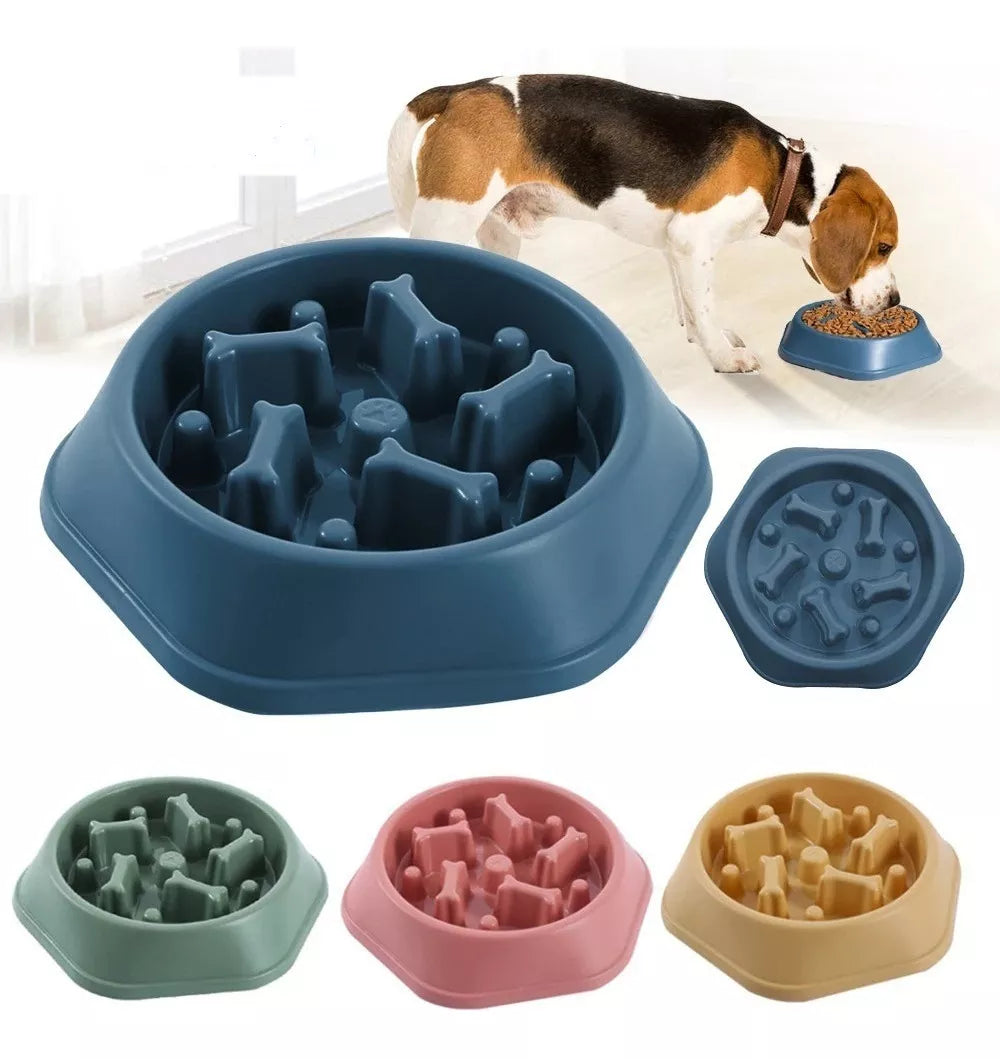 Comedero Anti Reflujo De Huesito