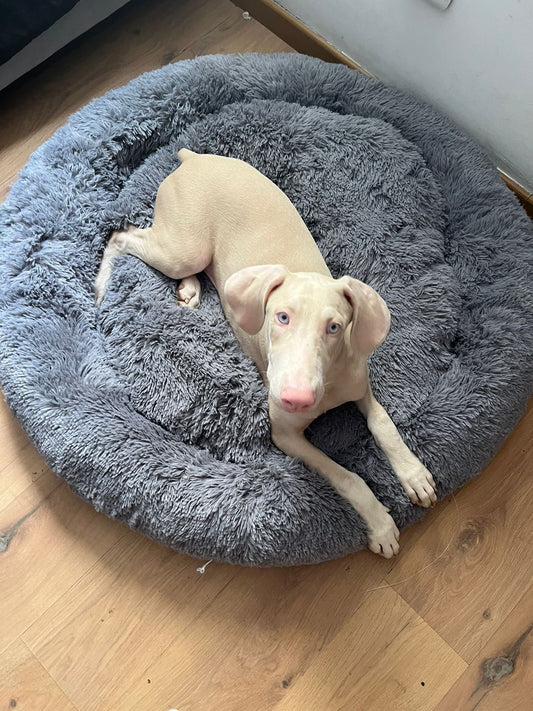 Cama Donut Antiestrés para Mascotas Talla XL