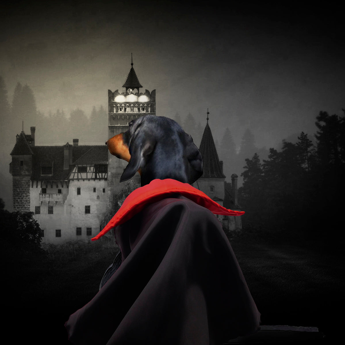 Disfraz de Drácula para Mascotas