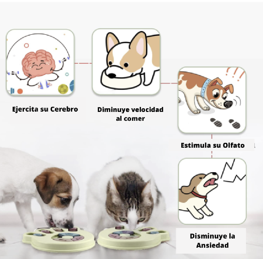 Tazón Interactivo Antireflujo para Mascotas