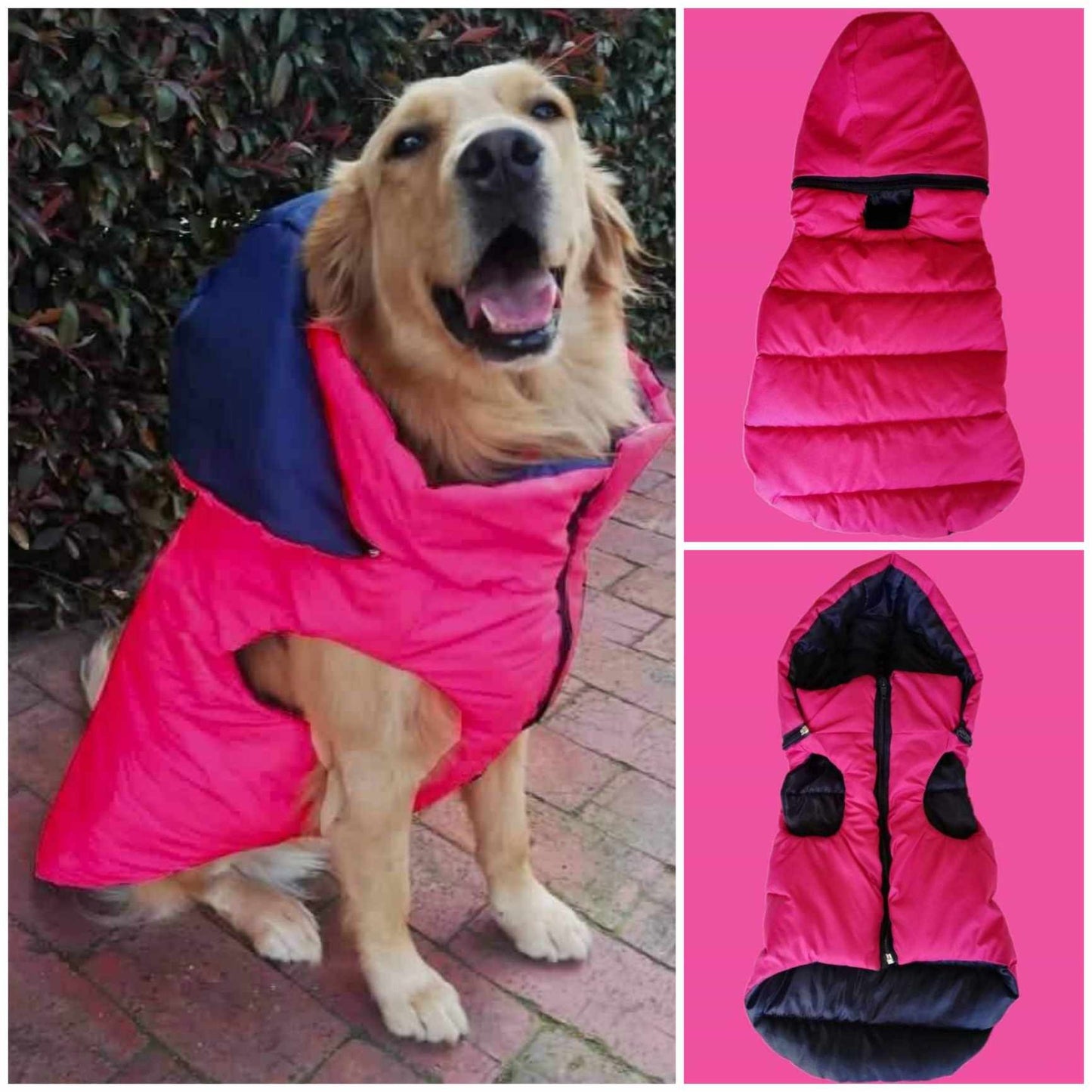 Chaleco Impermeable con Capota Removible