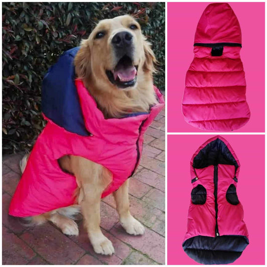 Chaleco Impermeable con Capota Removible