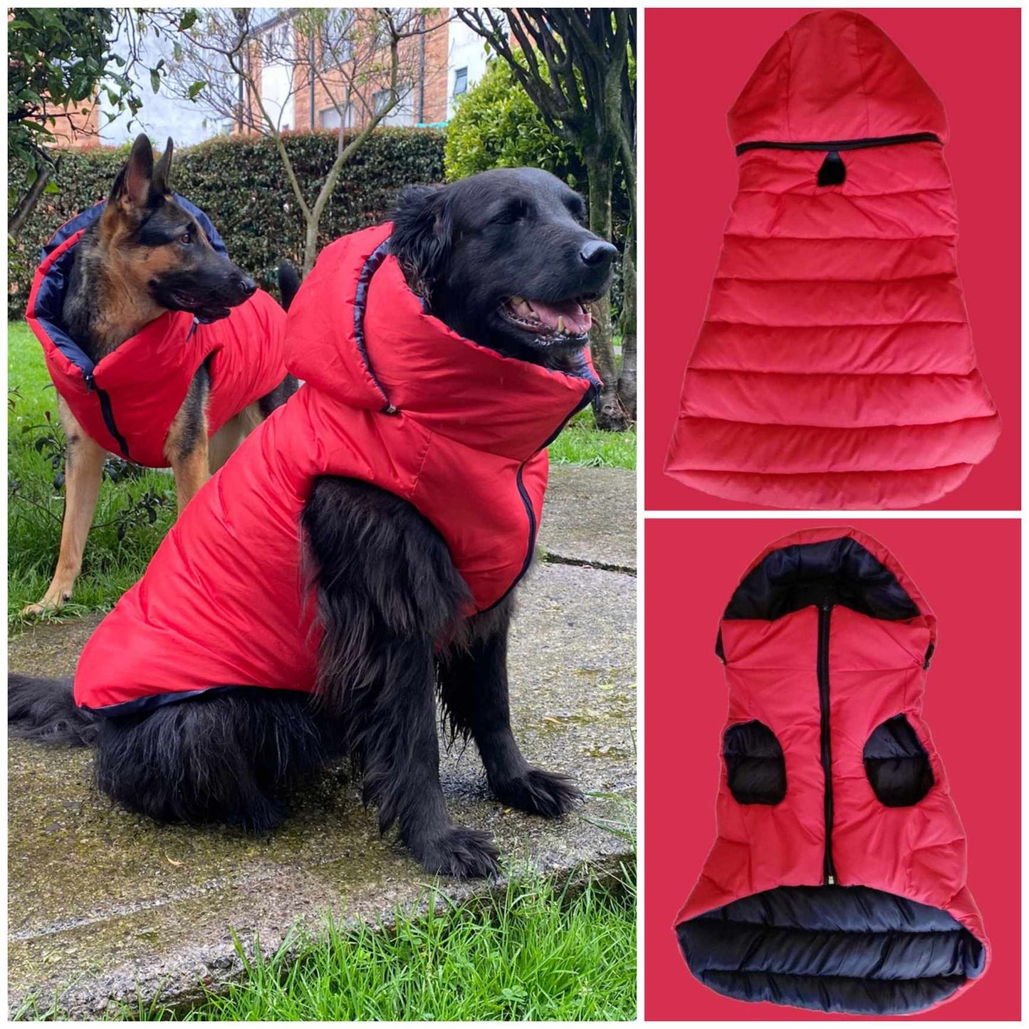 Chaleco Impermeable con Capota Removible