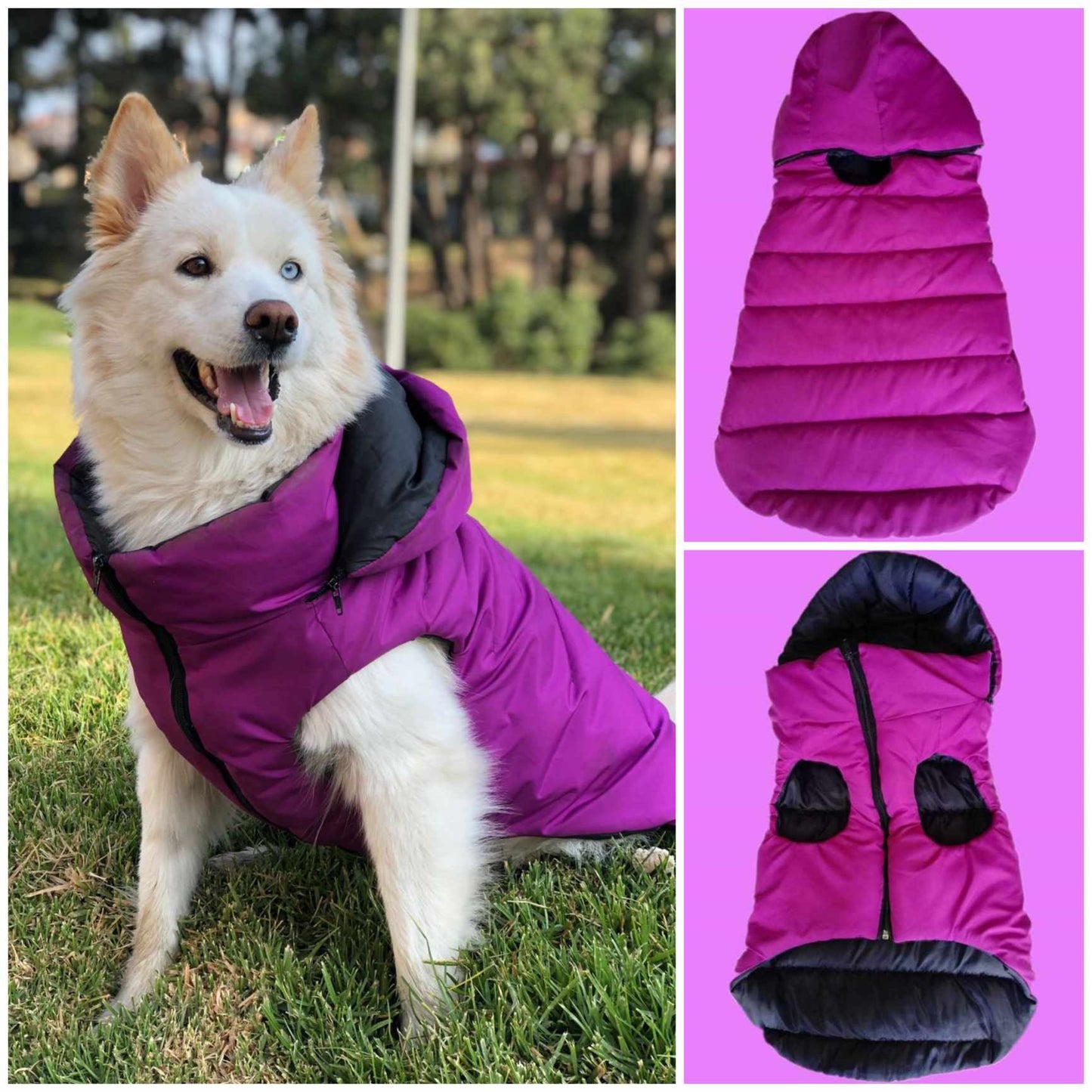 Chaleco Impermeable con Capota Removible