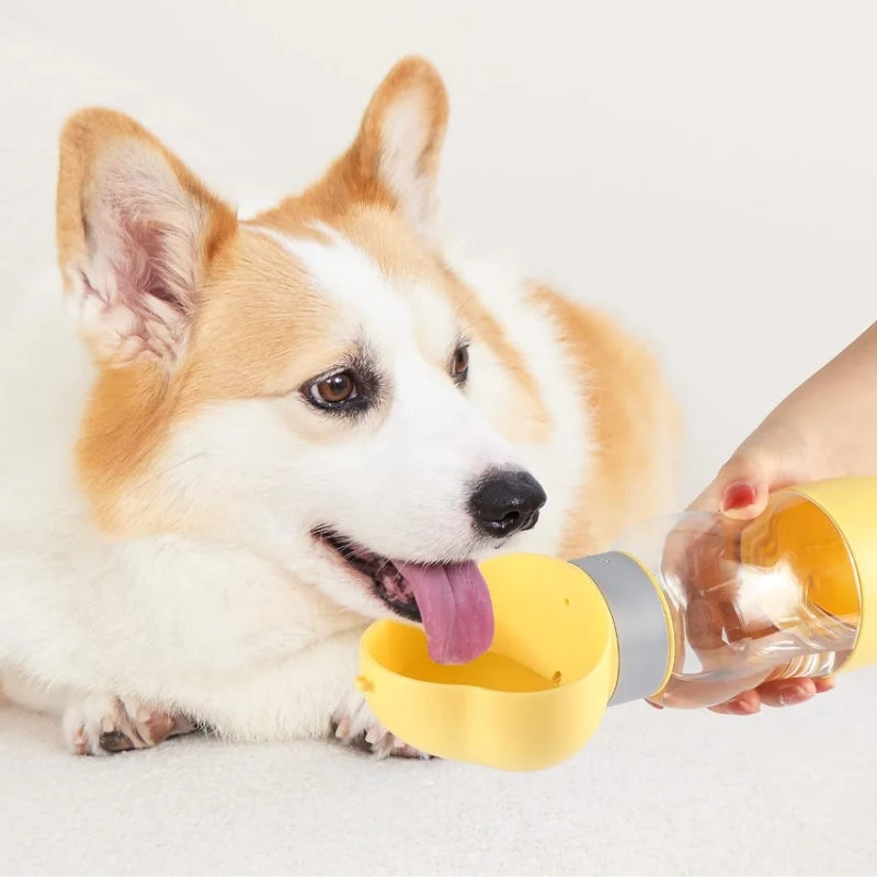 Dispensador Portátil 2 en 1