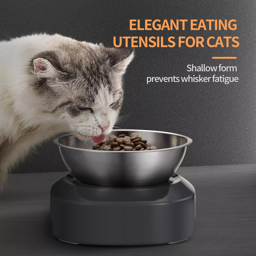 Comedero Elevado para Mascotas