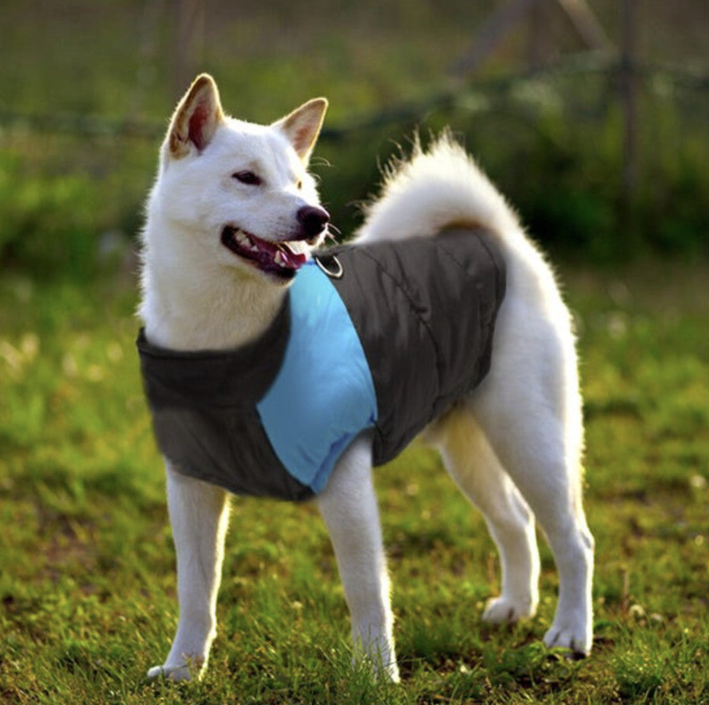 Chaqueta Impermeable Acolchada para Perros Talla L