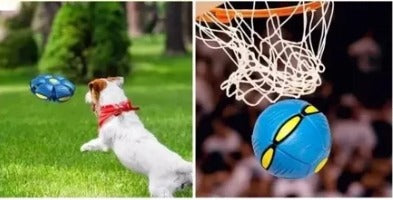Phlat Ball - Pelota Voladora Mascotas