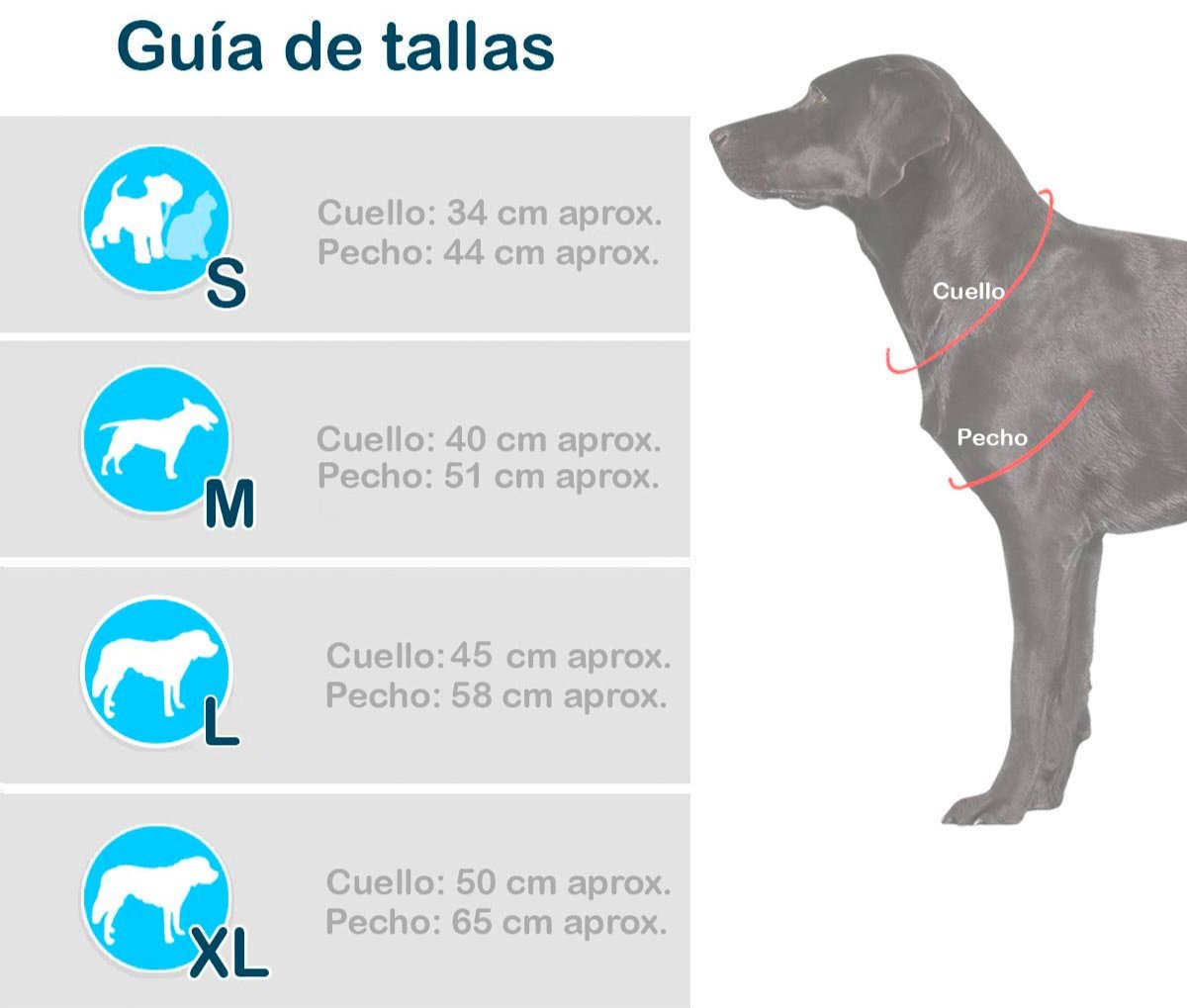 Disfraz de Hada para Mascotas