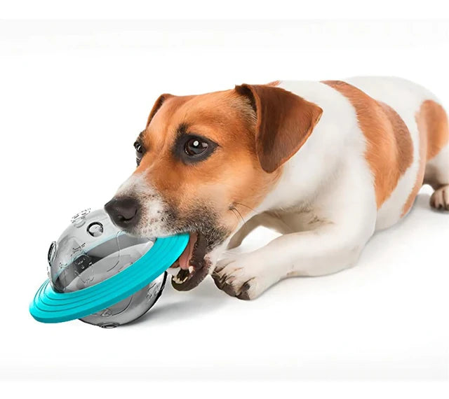 Dispositivo Interactivo para Mascotas