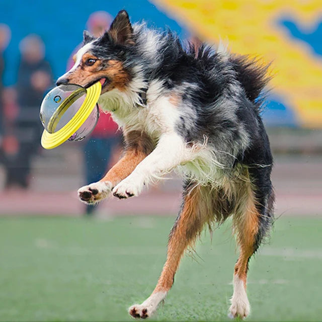 Dispositivo Interactivo para Mascotas