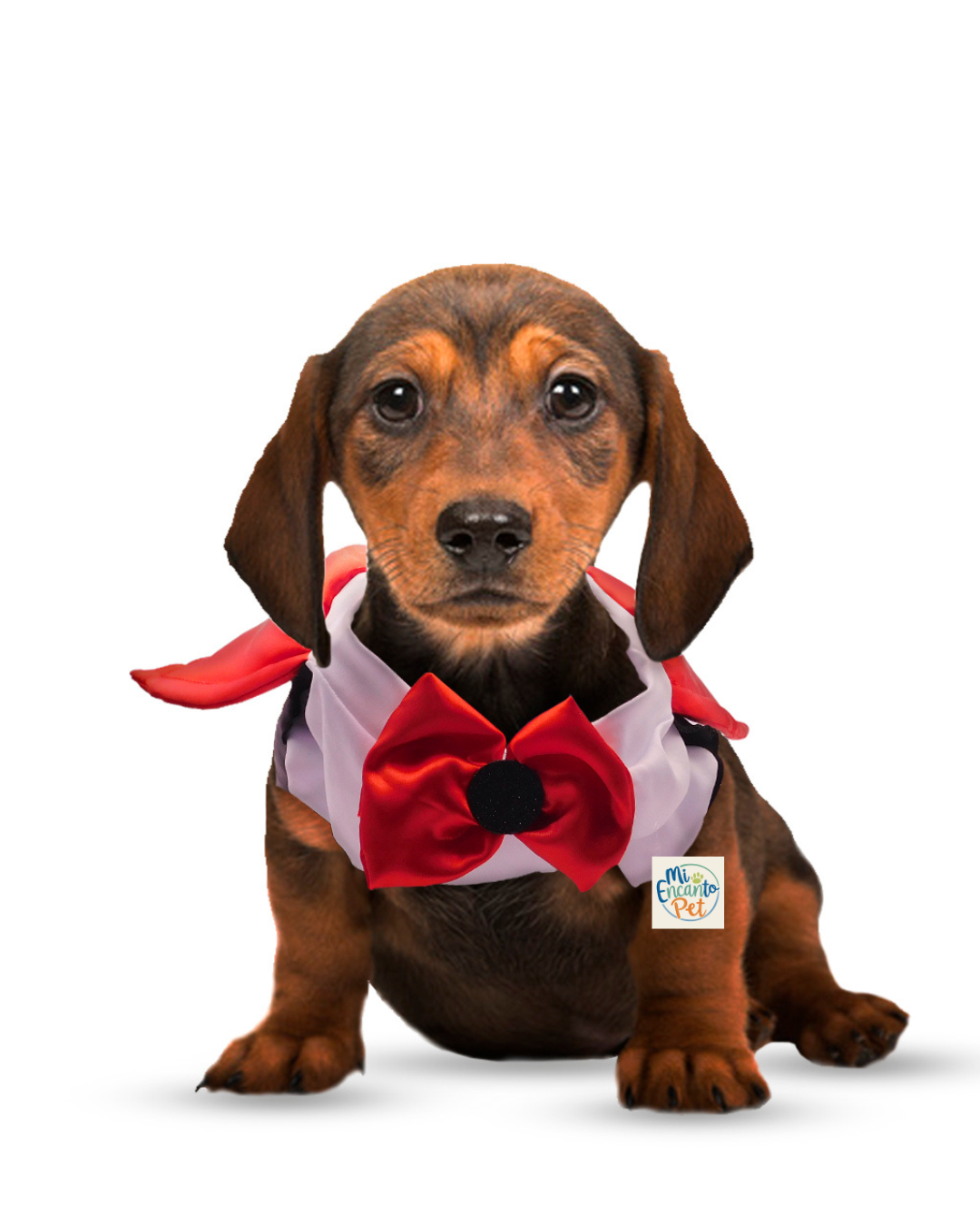 Disfraz de Drácula para Mascotas