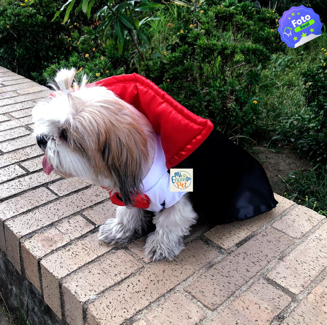 Disfraz de Drácula para Mascotas