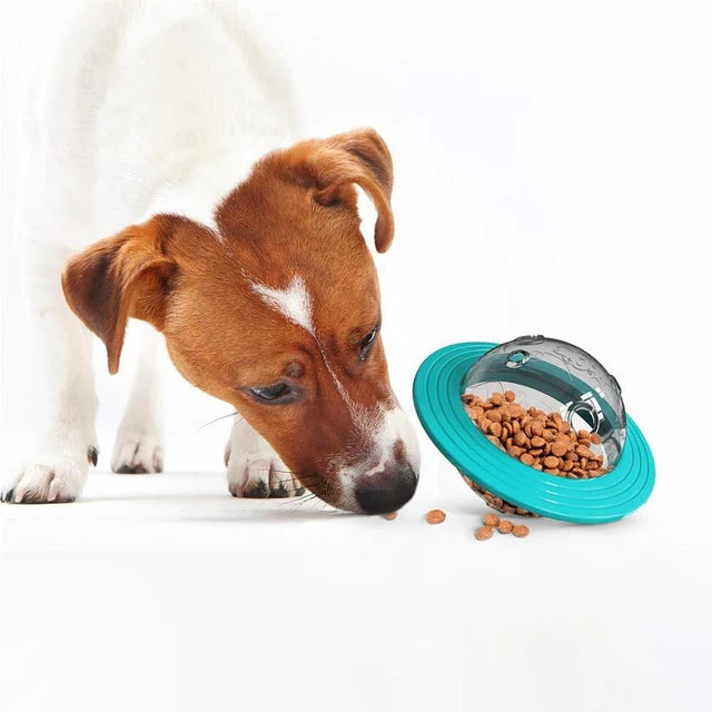 Dispositivo Interactivo para Mascotas