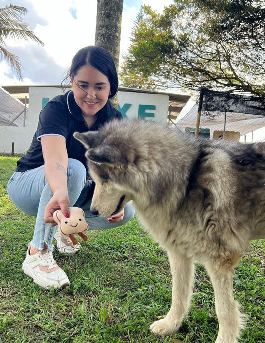 Peluche Chillón para Mascotas: Pan, Huevo o Tortilla