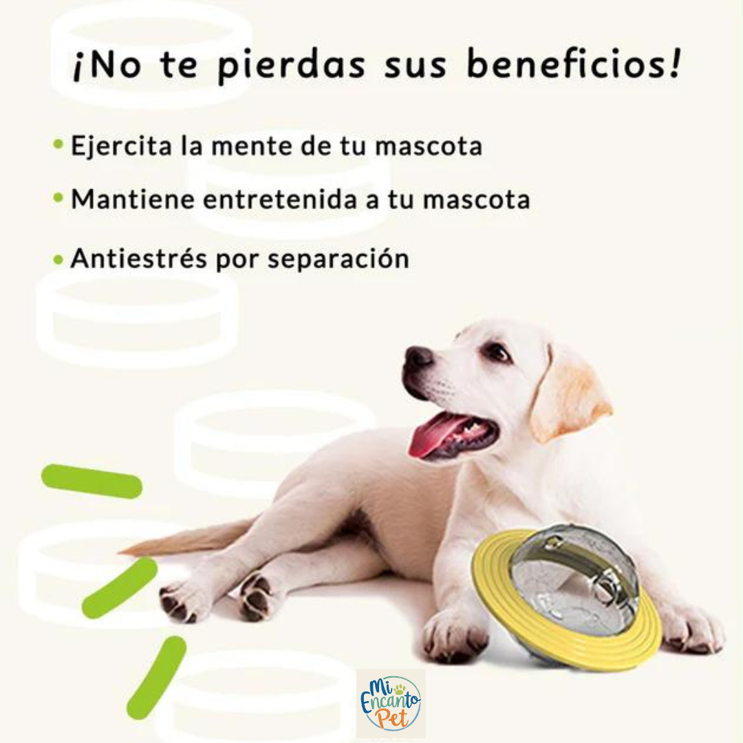 Dispositivo Interactivo para Mascotas