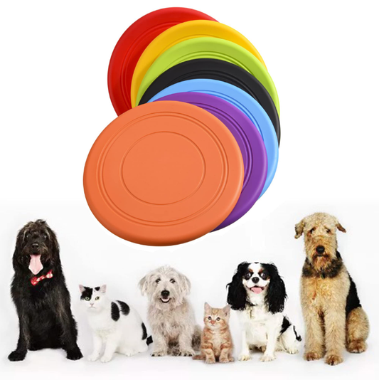 Frisbee para Mascotas